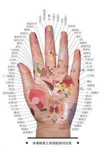 首页 其他 手,脚,身体各个穴位所对应的内脏(图 下面这几张图显示了